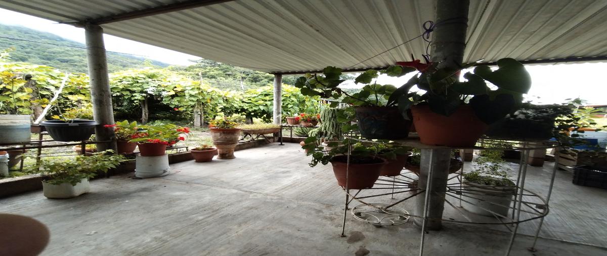 Foto de rancho en carretera maseca a villaflores , ocozocoautla de espinosa centro, ocozocoautla de espinosa, chiapas, 28176409 foto 03 Foto de rancho en venta en carretera maseca a villaflores , ocozocoautla de espinosa centro, ocozocoautla de espinosa, chiapas, 28176409 No. 03