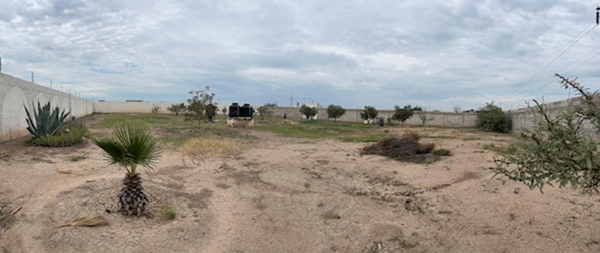 Foto de terreno comercial en venta en carretera matamoros - saltillo "ejido josé maría m , benavides (morelos uno), matamoros, coahuila de zaragoza, 28665614 No. 05