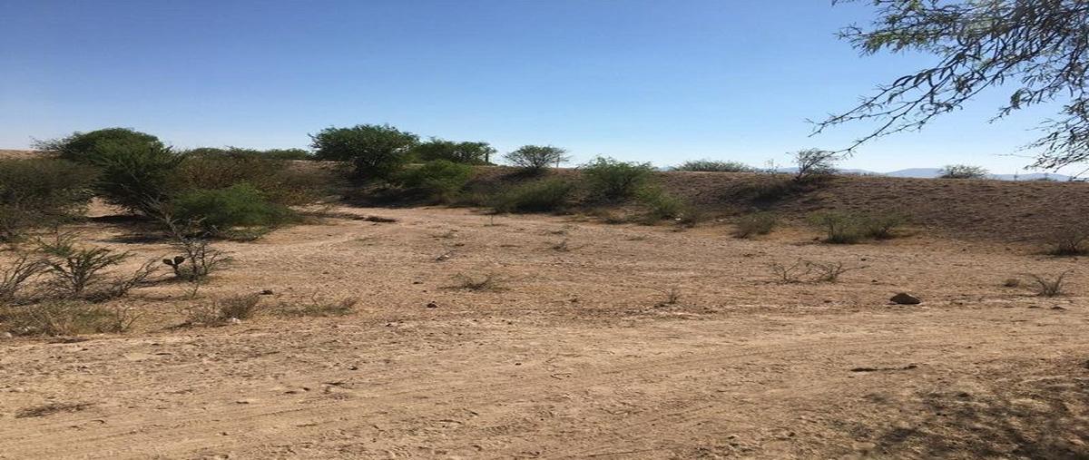 Foto de terreno habitacional en venta en carretera matehuala , rinconada, san luis potosí, san luis potosí, 0 No. 04