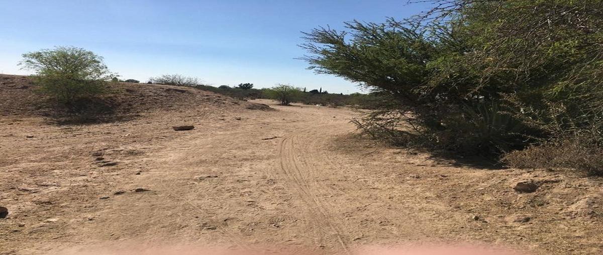 Foto de terreno habitacional en venta en carretera matehuala , rinconada, san luis potosí, san luis potosí, 0 No. 05
