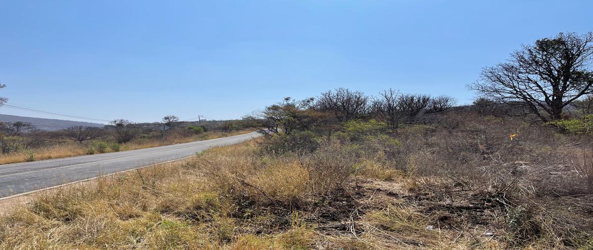 Foto de terreno habitacional en venta en carretera mazamitla san jose , mazamitla, mazamitla, jalisco, 25856421 No. 01