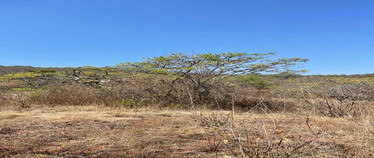 Foto de terreno habitacional en venta en carretera mazamitla san jose , mazamitla, mazamitla, jalisco, 25856421 No. 03