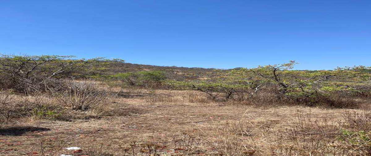 Foto de terreno habitacional en venta en carretera mazamitla san jose , mazamitla, mazamitla, jalisco, 25856421 No. 05