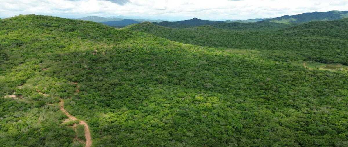 Foto de terreno habitacional en venta en carretera mazatlan- culiacan , coyotitan, san ignacio, sinaloa, 30173934 No. 04