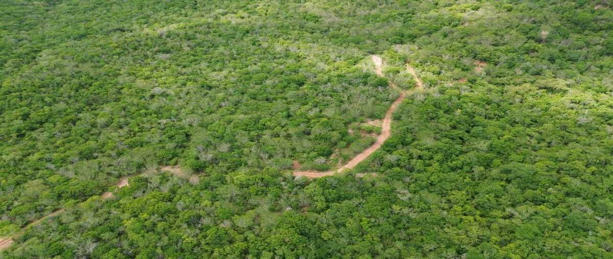 Foto de terreno habitacional en venta en carretera mazatlan- culiacan , coyotitan, san ignacio, sinaloa, 30173934 No. 05