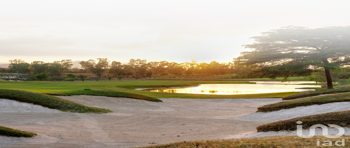 Foto de terreno habitacional en venta en carretera mazatlán - la noria , los limones, mazatlán, sinaloa, 30373344 No. 05