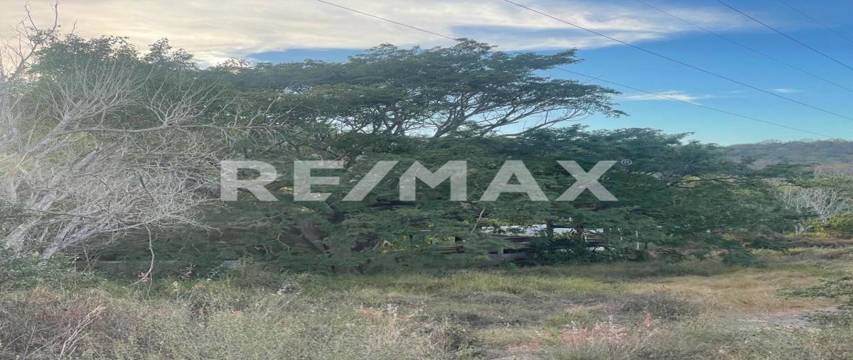 Foto de rancho en venta en carretera mazatlan - tepic , concordia, concordia, sinaloa, 0 No. 05