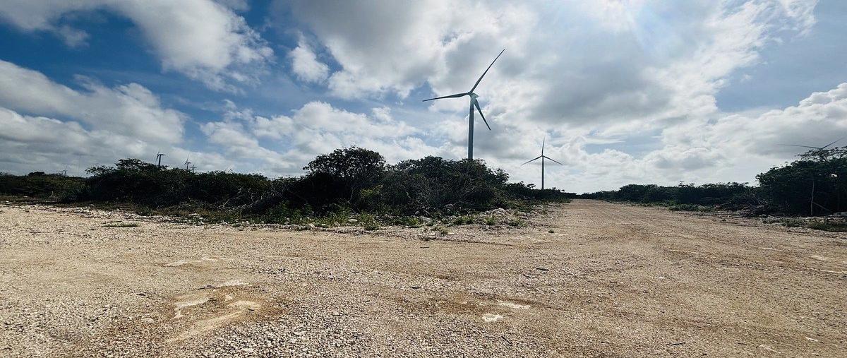 Foto de terreno habitacional en venta en carretera mérida chicxulub , chicxulub puerto, progreso, yucatán, 0 No. 04