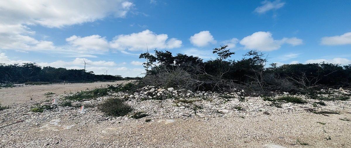 Foto de terreno habitacional en venta en carretera mérida chicxulub , chicxulub puerto, progreso, yucatán, 0 No. 05
