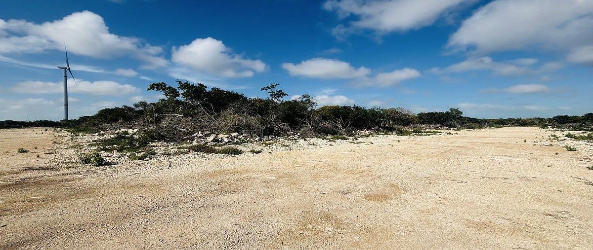 Foto de terreno habitacional en venta en carretera mérida - chicxulub , chicxulub puerto, progreso, yucatán, 0 No. 03
