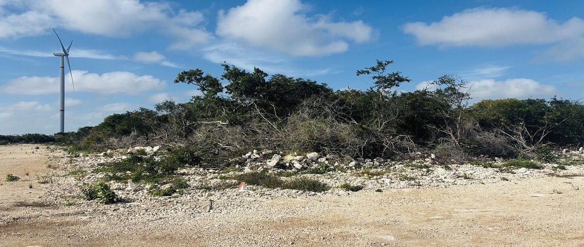 Foto de terreno habitacional en venta en carretera mérida - chicxulub , chicxulub puerto, progreso, yucatán, 0 No. 04