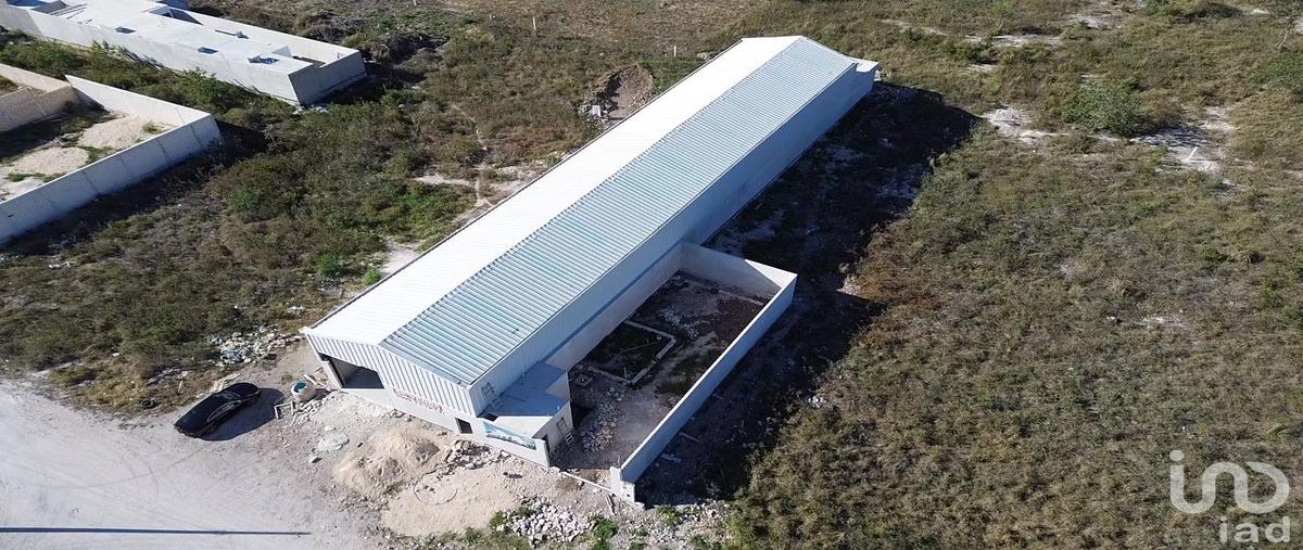 Foto de bodega en venta en carretera merida progreso 193, paraíso, mérida, yucatán, 31363805 No. 05