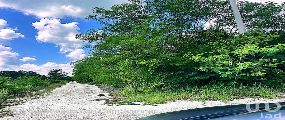 Foto de terreno habitacional en venta en carretera merida progreso 42949, komchen, mérida, yucatán, 28722361 No. 03