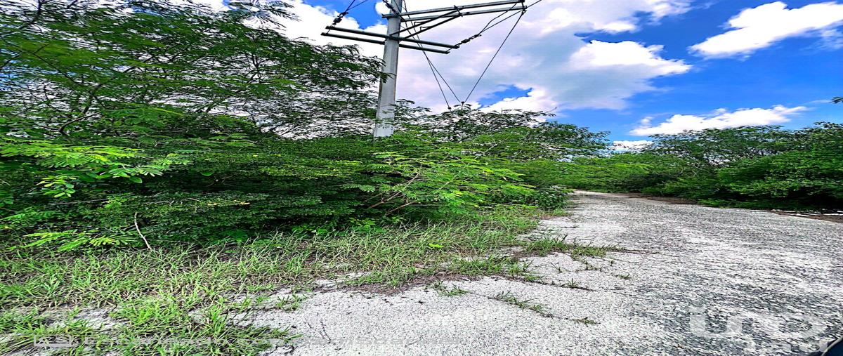 Foto de terreno habitacional en venta en carretera merida progreso 42949, komchen, mérida, yucatán, 28722361 No. 04