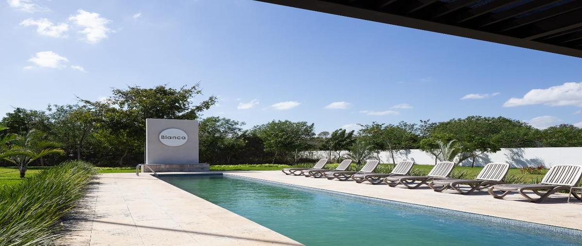 Foto de terreno habitacional en venta en carretera mérida - progreso , cheuman, mérida, yucatán, 0 No. 04