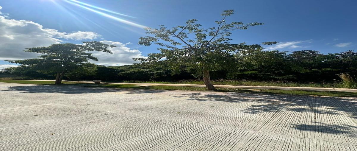Foto de terreno habitacional en venta en carretera mérida - progreso kilometro 15.5 , yucatán country club, mérida, yucatán, 30474532 No. 03