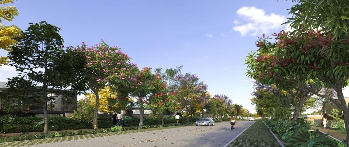 Foto de terreno habitacional en venta en carretera merida - progreso #km 20 261, jardines de rejoyada, mérida, yucatán, 0 No. 05