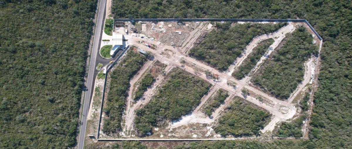 Foto de terreno habitacional en venta en carretera mèrida progreso , mérida, mérida, yucatán, 27685554 No. 04