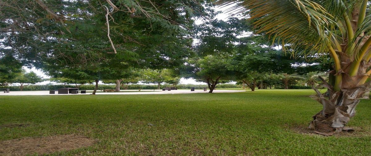 Foto de terreno habitacional en carretera mérida - progreso , mérida, mérida, yucatán, 0 foto 01 Foto de terreno habitacional en venta en carretera mérida - progreso , mérida, mérida, yucatán, 0 No. 01