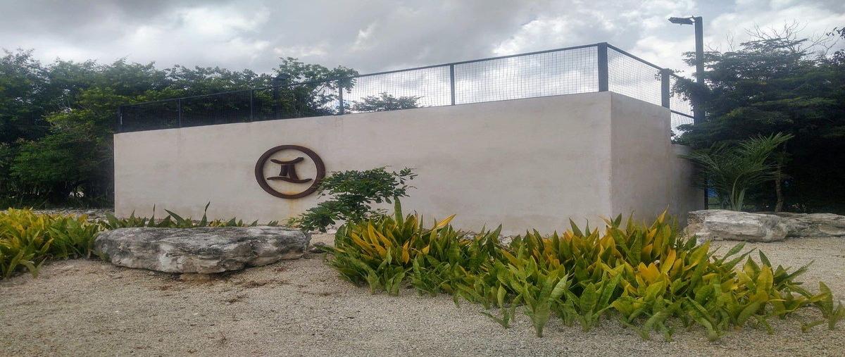 Foto de terreno habitacional en carretera mérida - progreso , mérida, mérida, yucatán, 0 foto 02 Foto de terreno habitacional en venta en carretera mérida - progreso , mérida, mérida, yucatán, 0 No. 02