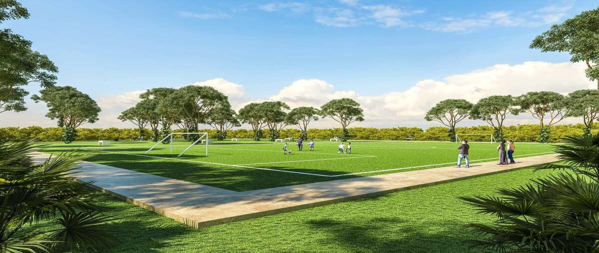 Foto de terreno habitacional en venta en carretera mérida-motul , san josé hili, motul, yucatán, 0 No. 04