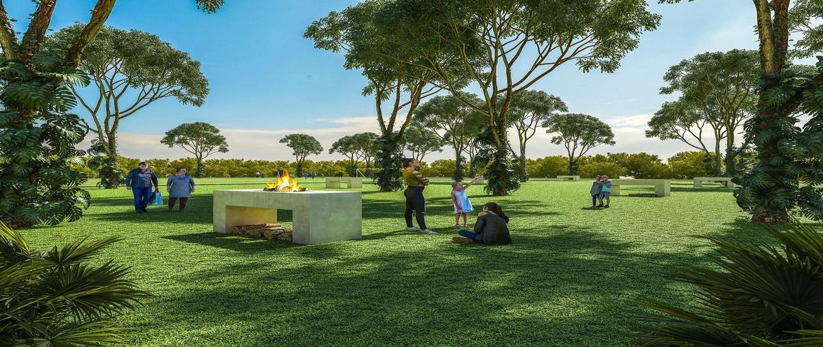 Foto de terreno habitacional en venta en carretera mérida-motul , san josé hili, motul, yucatán, 0 No. 05