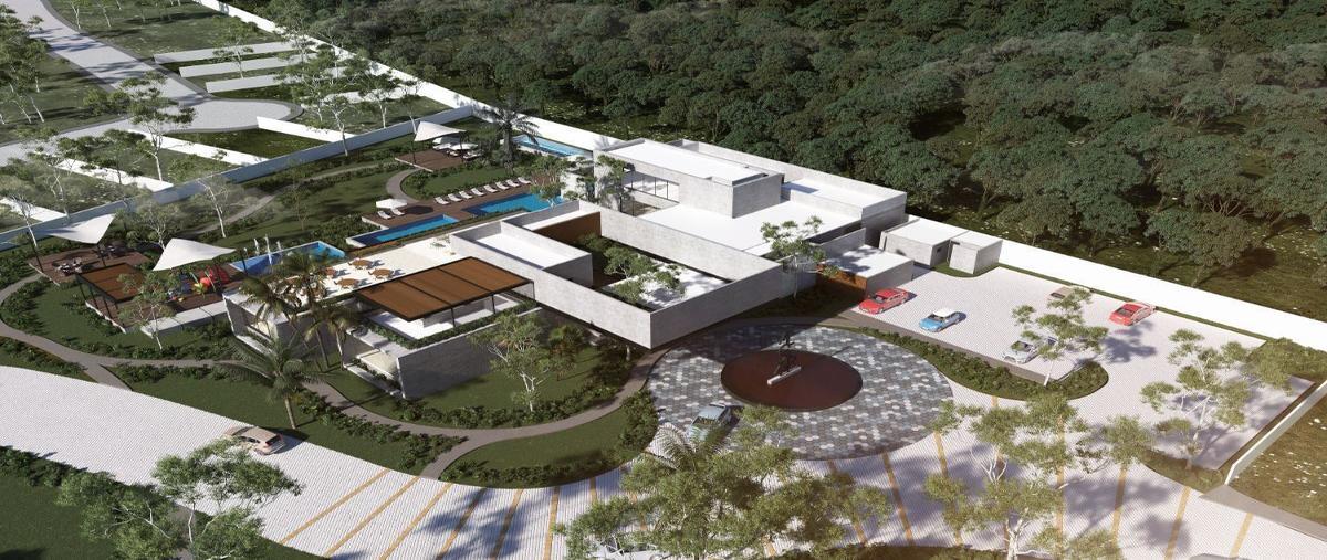 Foto de terreno habitacional en carretera merida-progreso kilometro 13.5 , dzibilchaltún, mérida, yucatán, 27826679 foto 05 Foto de terreno habitacional en venta en carretera merida-progreso kilometro 13.5 , dzibilchaltún, mérida, yucatán, 27826679 No. 05