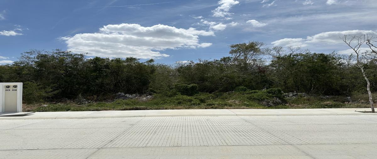 Foto de terreno habitacional en venta en carretera mérida-progreso , tamanché, mérida, yucatán, 28833349 No. 03