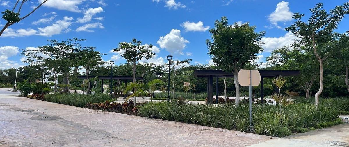 Foto de terreno habitacional en venta en carretera merida-progreso , yucatán country club, mérida, yucatán, 0 No. 05