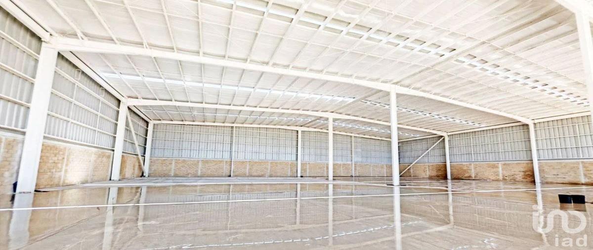 Foto de bodega en carretera merida-tetiz 7091, ciudad caucel, mérida, yucatán, 30612428 foto 04 Foto de bodega en renta en carretera merida-tetiz 7091, ciudad caucel, mérida, yucatán, 30612428 No. 04