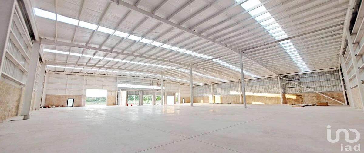 Foto de bodega en carretera merida-tetiz 7091, ciudad caucel, mérida, yucatán, 30612428 foto 05 Foto de bodega en renta en carretera merida-tetiz 7091, ciudad caucel, mérida, yucatán, 30612428 No. 05