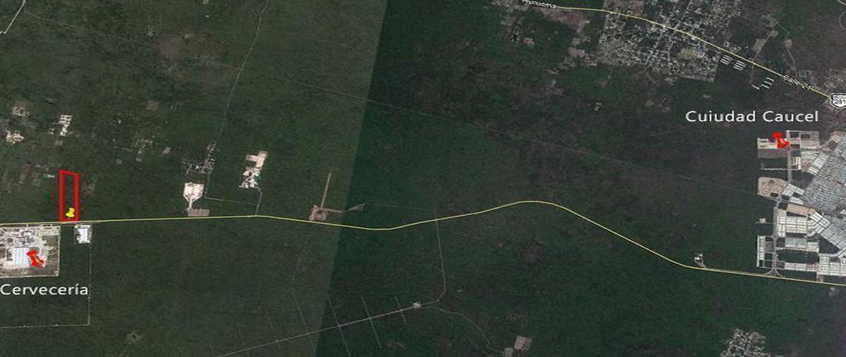 Foto de terreno industrial en carretera mérida-tetiz , centro hunucmá, hunucmá, yucatán, 18346915 foto 03 Foto de terreno industrial en venta en carretera mérida-tetiz , centro hunucmá, hunucmá, yucatán, 18346915 No. 03