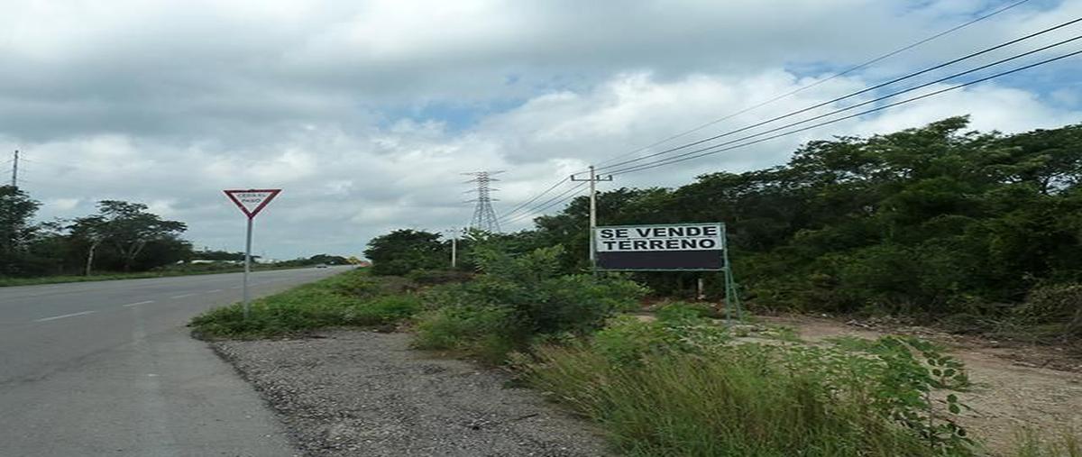 Foto de terreno industrial en carretera mérida-tetiz , centro hunucmá, hunucmá, yucatán, 18346915 foto 04 Foto de terreno industrial en venta en carretera mérida-tetiz , centro hunucmá, hunucmá, yucatán, 18346915 No. 04