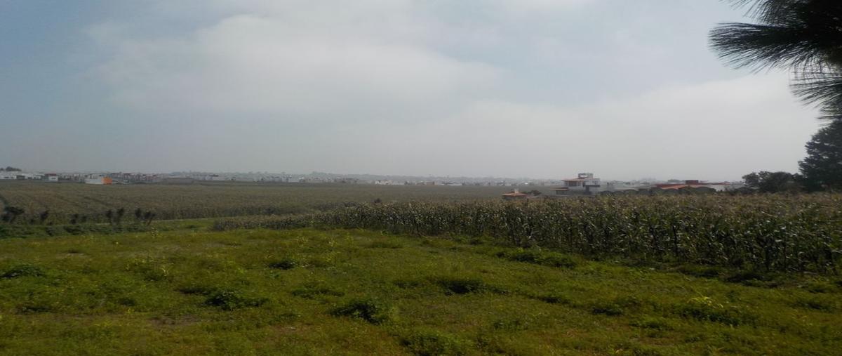 Foto de terreno habitacional en carretera metepec zacango , el tarimoro, calimaya, méxico, 0 foto 02 Foto de terreno habitacional en venta en carretera metepec zacango , el tarimoro, calimaya, méxico, 0 No. 02