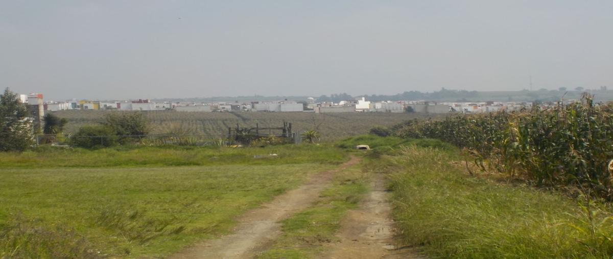 Foto de terreno habitacional en carretera metepec zacango , el tarimoro, calimaya, méxico, 0 foto 04 Foto de terreno habitacional en venta en carretera metepec zacango , el tarimoro, calimaya, méxico, 0 No. 04