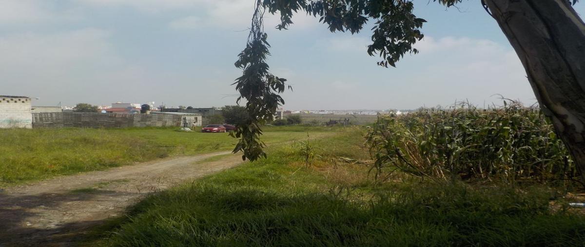 Foto de terreno habitacional en carretera metepec zacango , el tarimoro, calimaya, méxico, 0 foto 05 Foto de terreno habitacional en venta en carretera metepec zacango , el tarimoro, calimaya, méxico, 0 No. 05