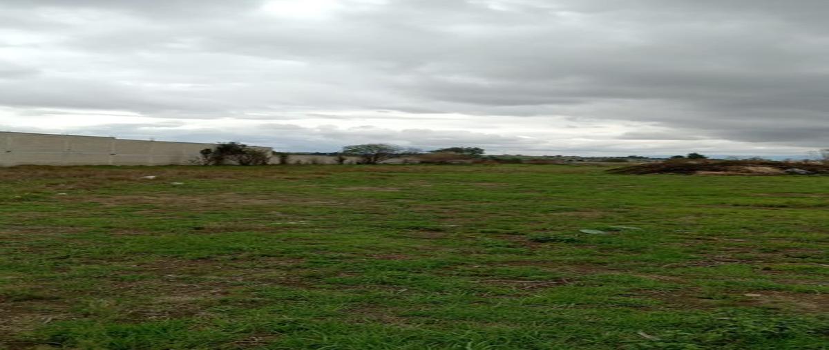 Foto de terreno habitacional en venta en carretera metepec-zacango 100, san lorenzo coacalco, metepec, méxico, 0 No. 03