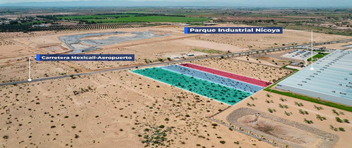 Foto de terreno habitacional en venta en carretera mexicali-aeropuerto , nicoya desarrollo industrial, mexicali, baja california, 27039168 No. 05