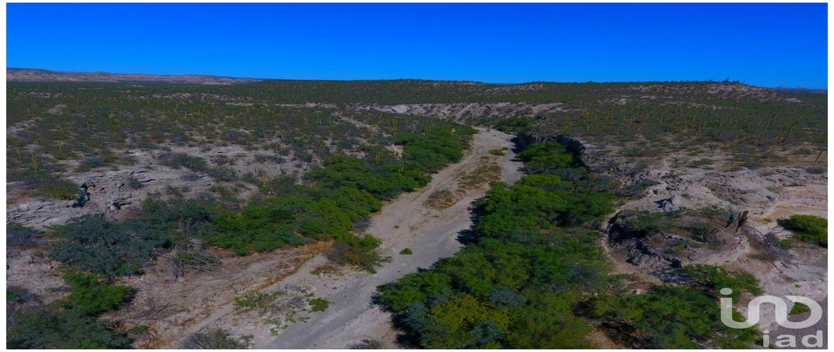 Foto de rancho en venta en carretera méxico 1 , las pocitas, la paz, baja california sur, 31742570 No. 03