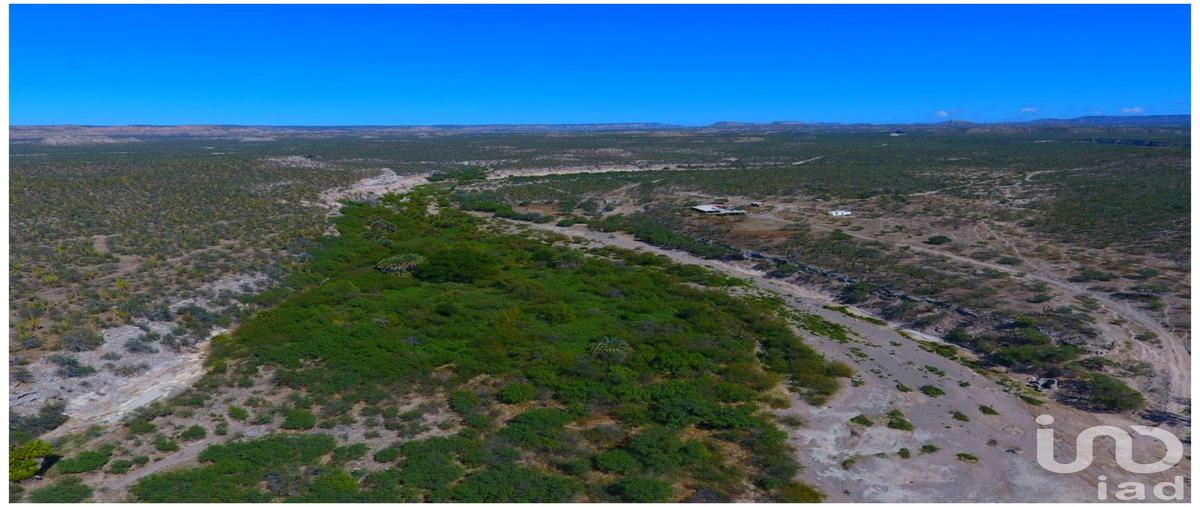 Foto de rancho en venta en carretera méxico 1 , las pocitas, la paz, baja california sur, 31742570 No. 04