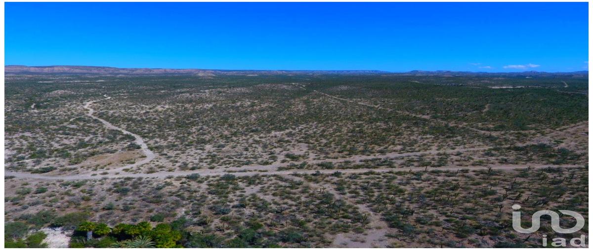 Foto de rancho en venta en carretera méxico 1 , las pocitas, la paz, baja california sur, 31742570 No. 05