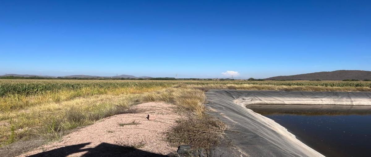 Foto de terreno habitacional en venta en carretera mexico 15-el tamarindo , el limón de los ramos, culiacán, sinaloa, 0 No. 03