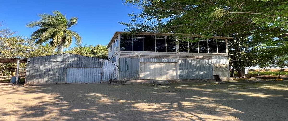 Foto de terreno habitacional en venta en carretera mexico 15-el tamarindo , el limón de los ramos, culiacán, sinaloa, 0 No. 04