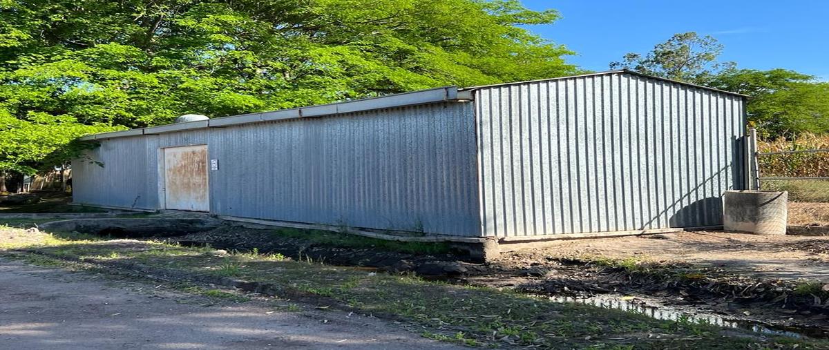 Foto de terreno habitacional en venta en carretera mexico 15-el tamarindo , el limón de los ramos, culiacán, sinaloa, 0 No. 05