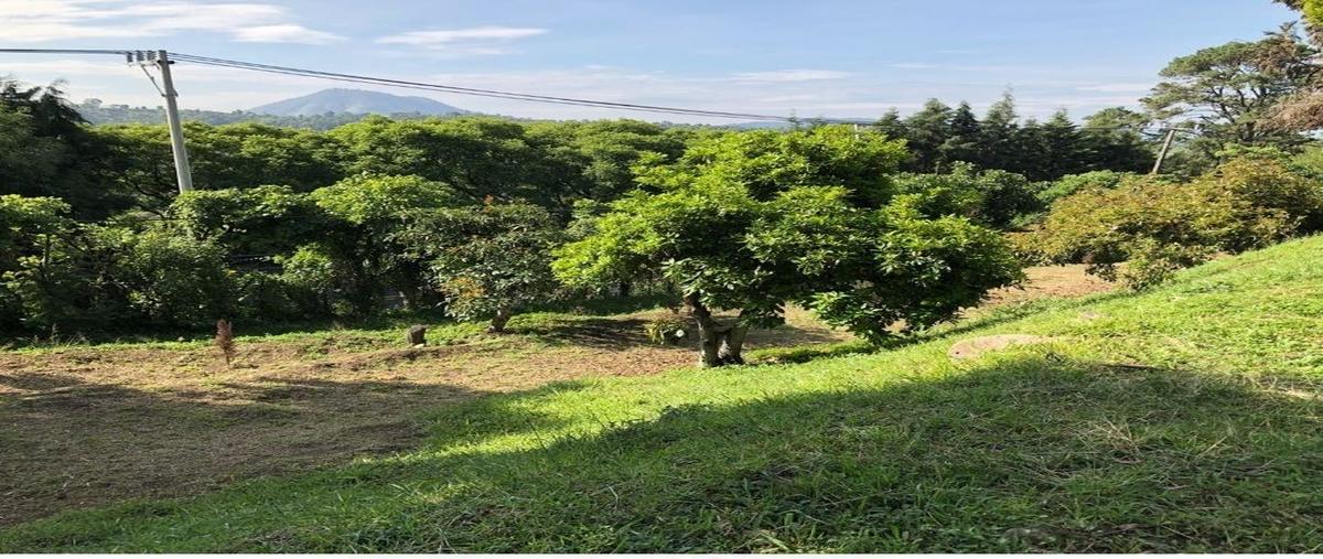 Foto de terreno habitacional en venta en carretera mexico cuautla , jicamán (colonia el mirador), cuautla, morelos, 28776245 No. 04
