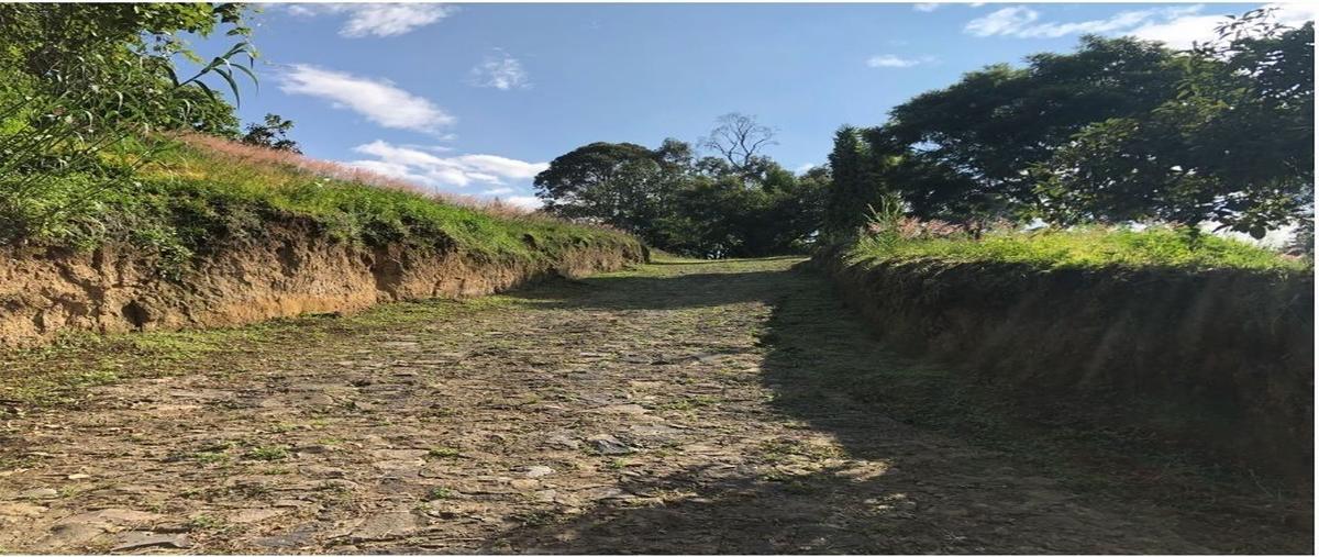 Foto de terreno habitacional en venta en carretera mexico cuautla , jicamán (colonia el mirador), cuautla, morelos, 28776245 No. 05