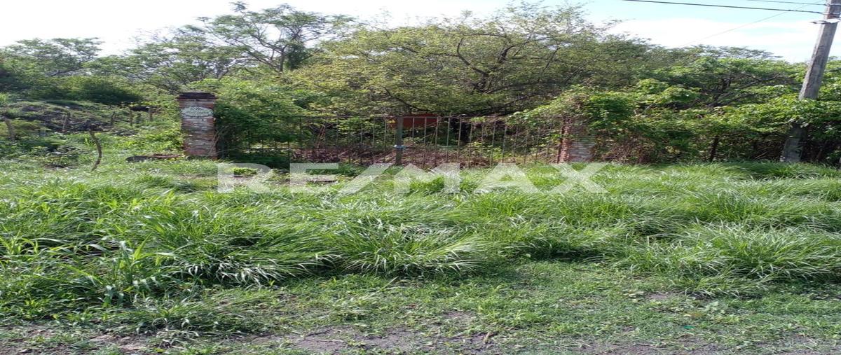 Foto de terreno comercial en venta en carretera méxico - grutas km2 , alpuyeca, xochitepec, morelos, 30122216 No. 05