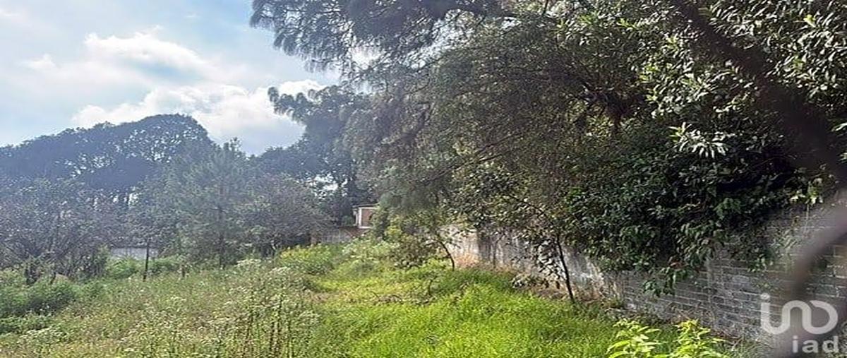 Foto de terreno habitacional en venta en carretera mexico oaxtepec , el calmil, tlalnepantla, morelos, 30585658 No. 03