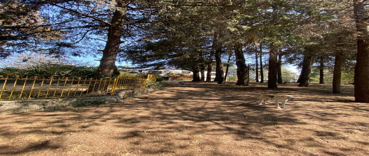 Foto de terreno comercial en venta en carretera mexico toluca kilometro 44+800 ocoyoacac , centro ocoyoacac, ocoyoacac, méxico, 27935728 No. 03