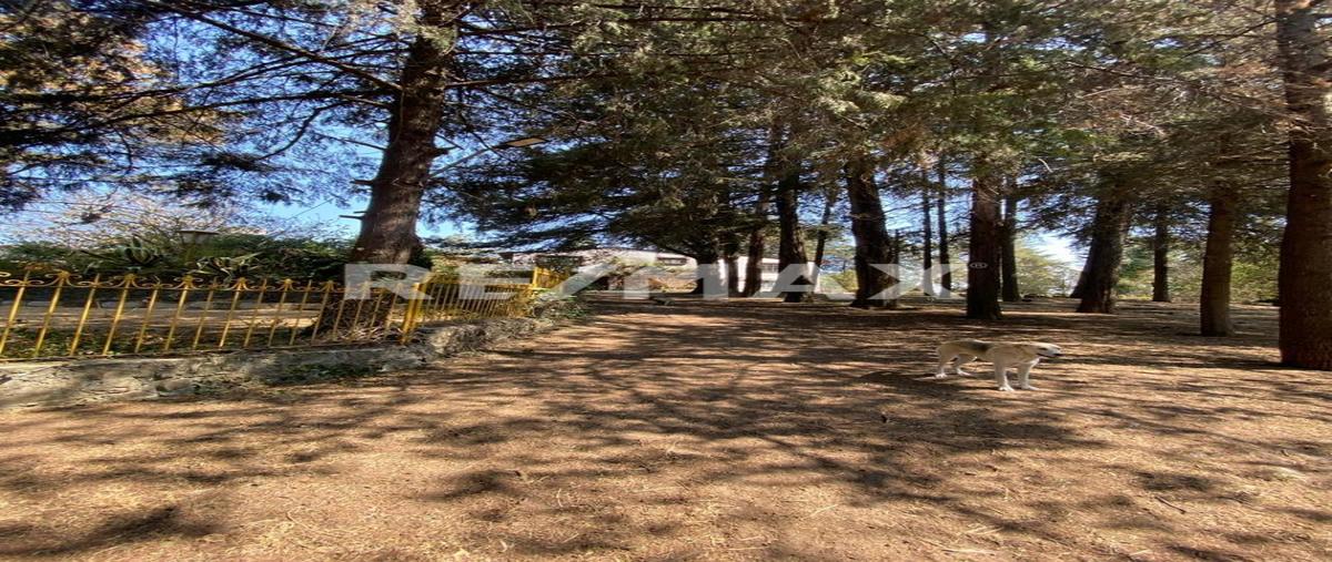 Foto de terreno comercial en carretera mexico toluca kilometro 44+800 ocoyoacac , centro ocoyoacac, ocoyoacac, méxico, 0 foto 03 Foto de terreno comercial en venta en carretera mexico toluca kilometro 44+800 ocoyoacac , centro ocoyoacac, ocoyoacac, méxico, 0 No. 03